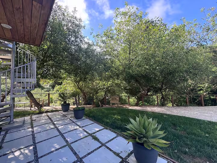 Backyard patio with a spiral staircase climbing to the rooftop deck and a potted agave on stone pavers