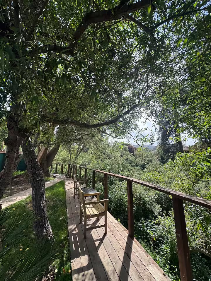 Private wooden boardwalk with a bench overlooking the riparian corridor along San Pedro Creek