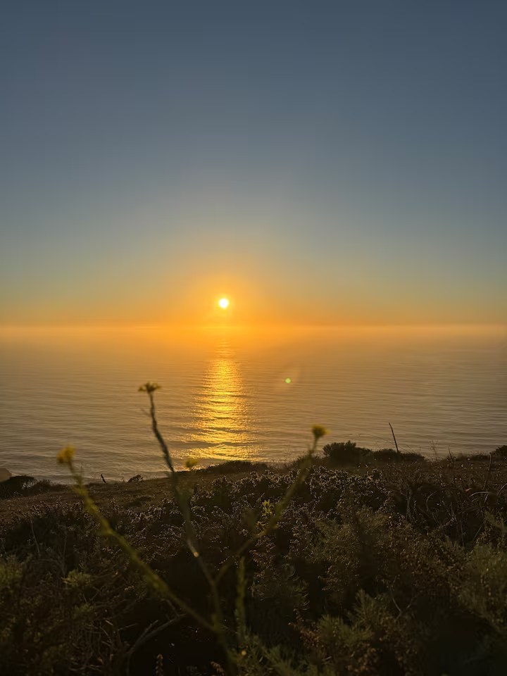 Golden sun setting over the Pacific from a Pacifica coastal ridge, wildflowers in the foreground